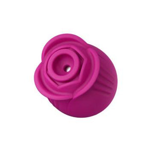 Original Blush Rose - Velvet